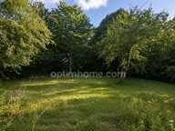 Rare sous les 100k€ : Authentique longère percheronne à restaurer, cheminée d'époque et terrain arboré 1 500 m² — Proche Bellême — photo 3