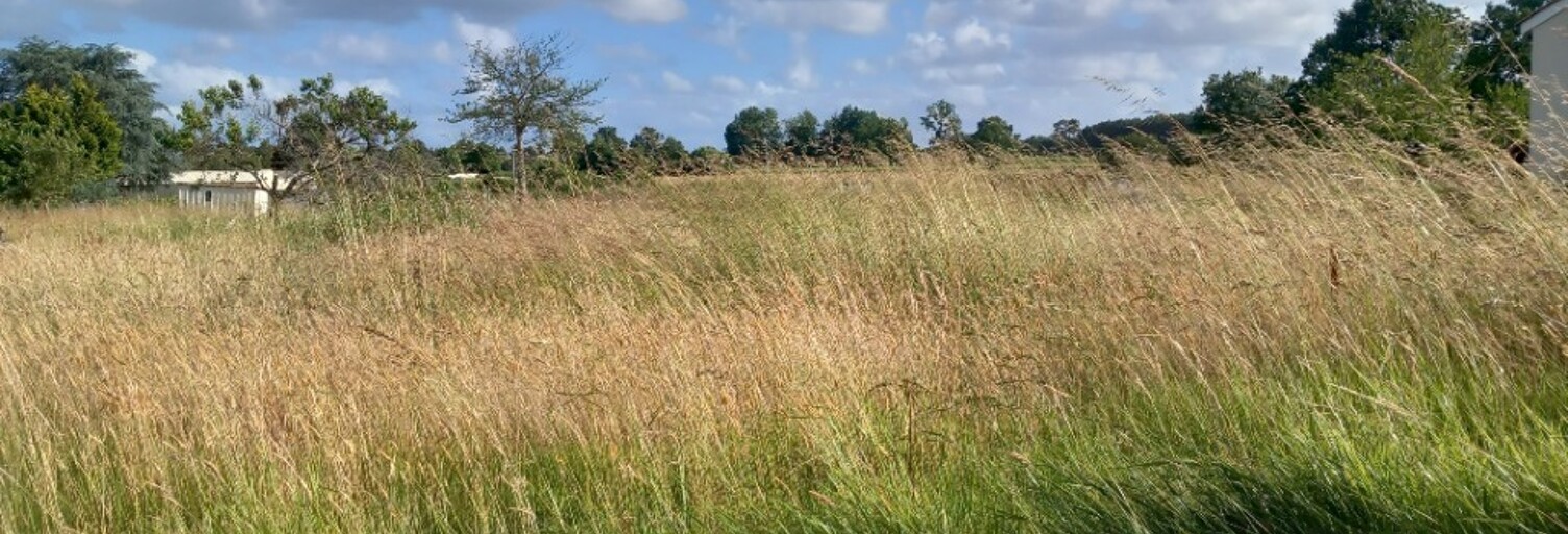 Terrain  1378 m² à vendre à Expiremont (17130)