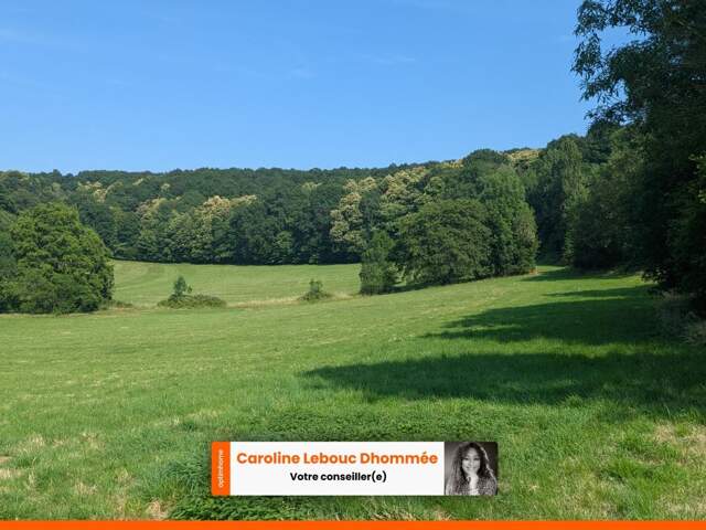 Domaine d'exception de 11,5 hectares d'un seul tenant longère en pierres dépendances — Proximité immédiate La Ferté-Bernard — photo du bien