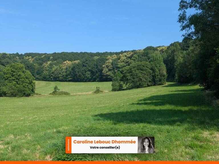 Domaine d'exception de 11,5 hectares d'un seul tenant longère en pierres dépendances — Proximité immédiate La Ferté-Bernard — photo 1
