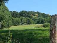 Domaine d'exception de 11,5 hectares d'un seul tenant longère en pierres dépendances — Proximité immédiate La Ferté-Bernard — photo 2