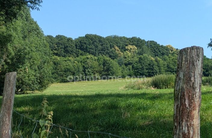 Domaine d'exception de 11,5 hectares d'un seul tenant longère en pierres dépendances — Proximité immédiate La Ferté-Bernard — photo 2