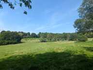 Domaine d'exception de 11,5 hectares d'un seul tenant longère en pierres dépendances — Proximité immédiate La Ferté-Bernard — photo 3