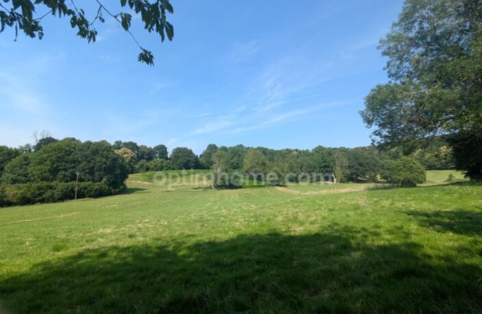 Domaine d'exception de 11,5 hectares d'un seul tenant longère en pierres dépendances — Proximité immédiate La Ferté-Bernard — photo 3
