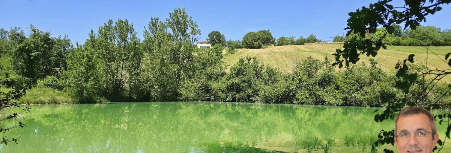 Maison 9 Pièces 368 m² à vendre à Le Pin-Murelet (31370)