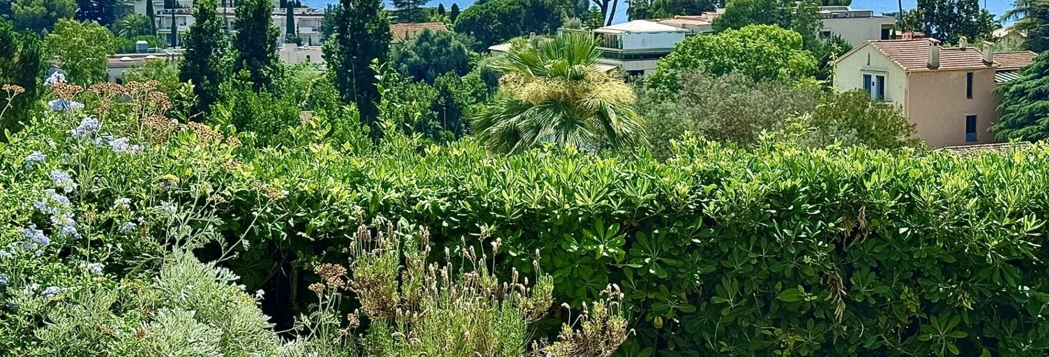 Appartement   m² à vendre à Cannes (06400)