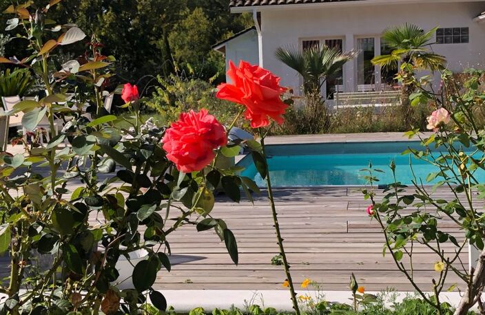 Maison de 70m2 à louer sur Bégaar — photo 5