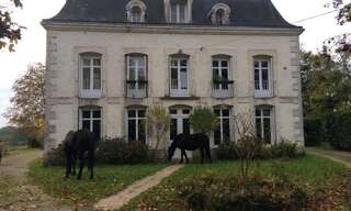 Appartement 1 Pièce 17 m² à louer à Saint-Georges-lès-Baillargeaux (86130)