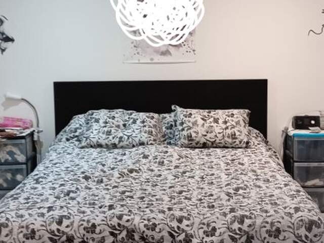 Studio de 18m2 à louer sur Ozoir-la-Ferrière — photo du bien