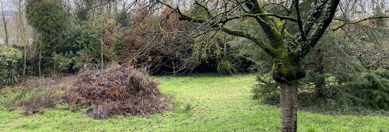 Terrain 350 m² à construire Morsang-sur-Orge (91390)