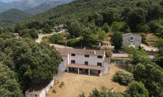 Maison 9 Pièces 164 m² à vendre à Tavera (20163)