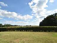 Villa de plain pied avec garage à 5 minutes d'Hagetmau — photo 4