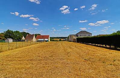 Terrain à bâtir exceptionnel de 1374 m² – Vue Vignobles & Val de Loire – Libre de constructeur — photo du bien