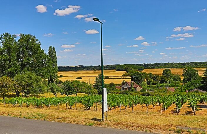 Terrain à bâtir exceptionnel de 1374 m² – Vue Vignobles & Val de Loire – Libre de constructeur — photo 5
