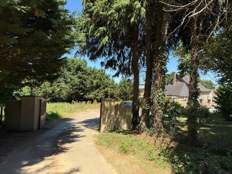 Longère en pierre – 150,76 m² – 6 pièces – 5 chambres – Terrain 6 345 m² – Dépendances – Hangar – Sous-sol complet — photo 1