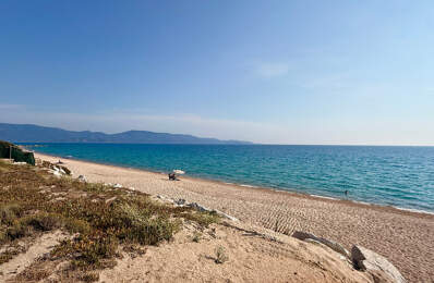 OLMETO-PLAGE (CORSE) : A vendre Studio en bord de mer, terrasse, dernier étage, accès direct à la plage — photo du bien
