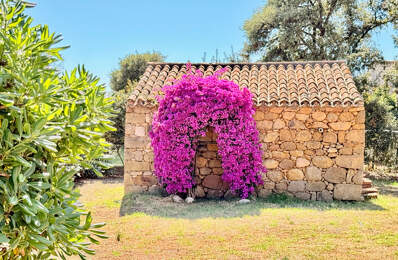 ECCICA-SUARELLA (Corse) : Maison T4, caseddu en pierre, garage, terrain piscinable, vue dégagée — photo du bien