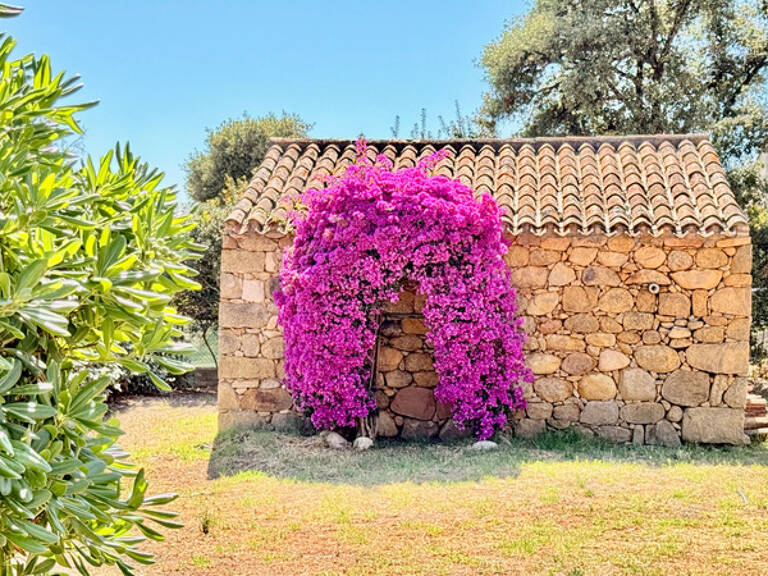 ECCICA-SUARELLA (Corse) : Maison T4, caseddu en pierre, garage, terrain piscinable, vue dégagée — photo 1