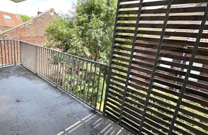 T2 — photo 3