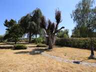 Ensemble de maison de village sur 860 m² de terrain de plain-pied — photo 4
