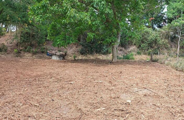 Terrain constructible Puycasquier(32120) 603m² — photo 2