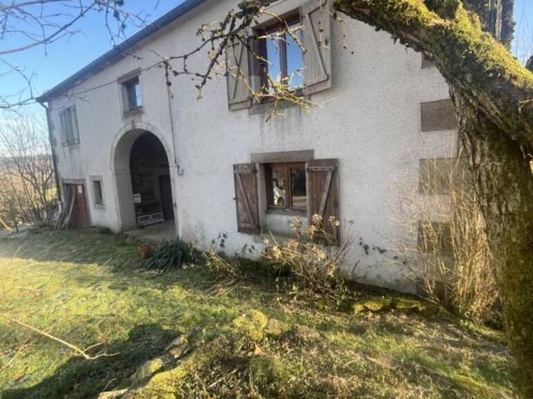 70280 SAINT BRESSON A VENDRE FERME — photo 1