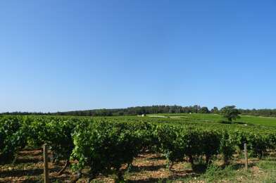 Terrain  75000 €