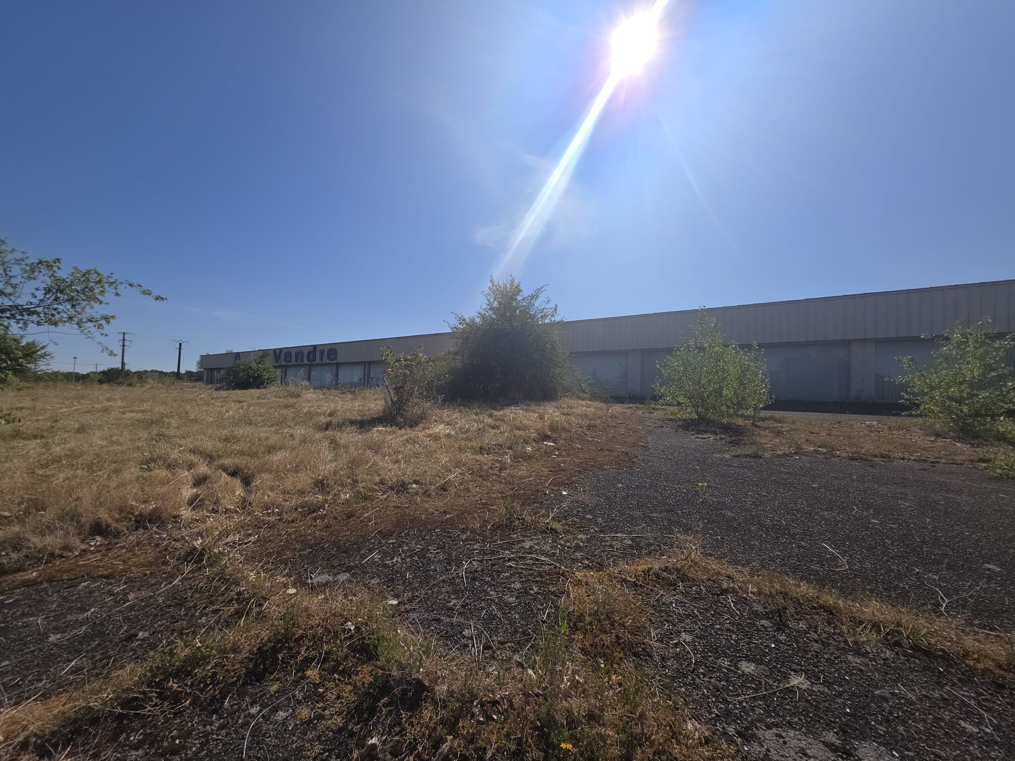 Bâtiment à usage industriel et commercial de 1600m2