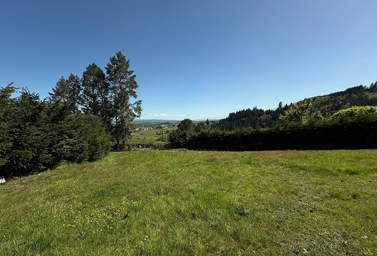 Terrain Saint Andre D Apchon — photo 1