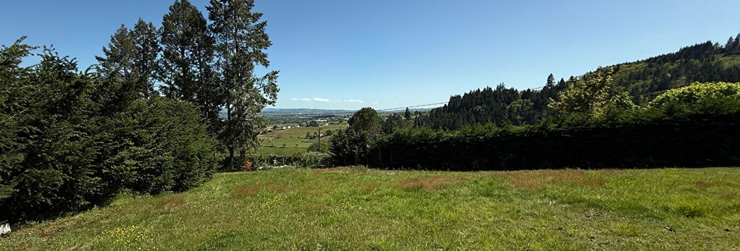 Terrain  1049 m² à vendre à Saint-André-d'Apchon (42370)