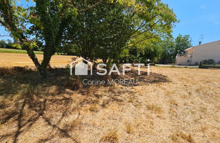 Terrain constructible,800m²,arboré,non viabilisé — photo 5