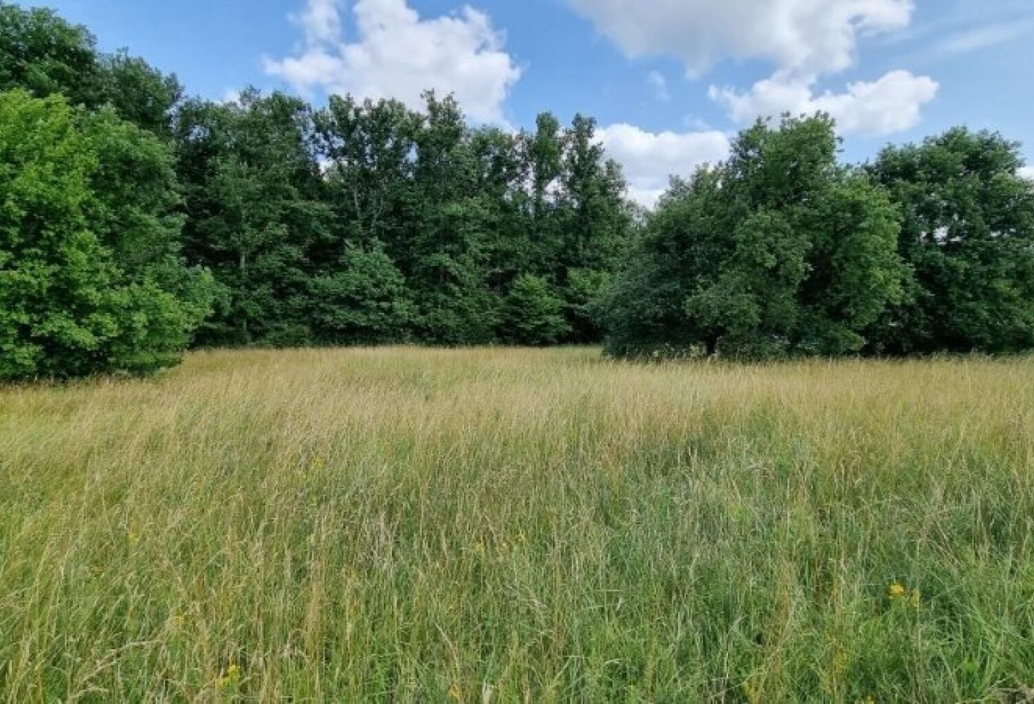 Terrain a batir 886 m² Viabilisé Charmeil à 3 mn de Vichy — photo 1