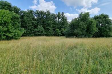 Terrain  59500 €