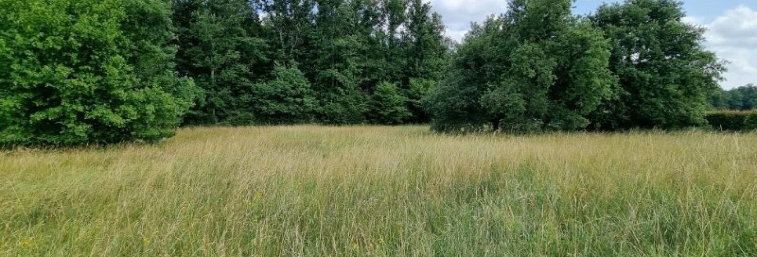 Terrain  886 m² à vendre à Charmeil (03110)