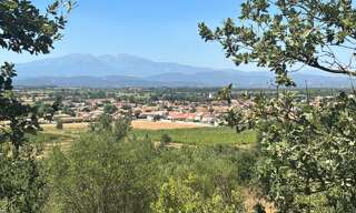 Terrain  4000 m² à vendre à Brouilla (66620)