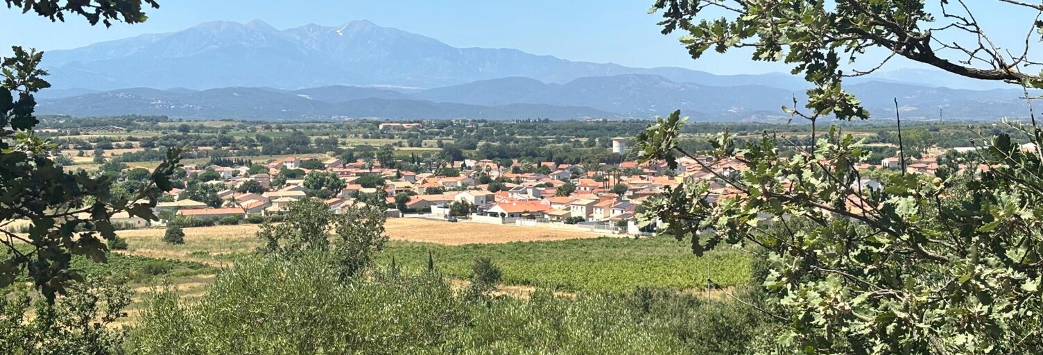 Terrain  4000 m² à vendre à Brouilla (66620)