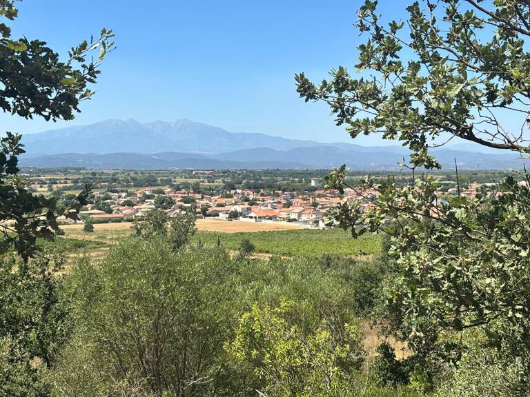Terrain avec superbe environnement — photo 1
