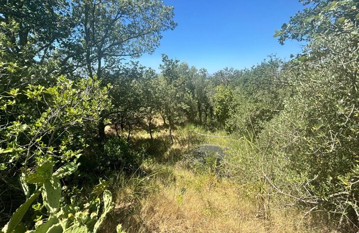 Terrain avec superbe environnement — photo 3