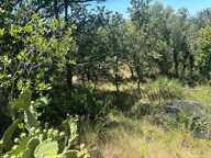 Terrain avec superbe environnement — photo 4