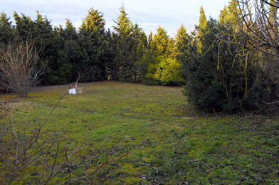 Terrain  56000 €