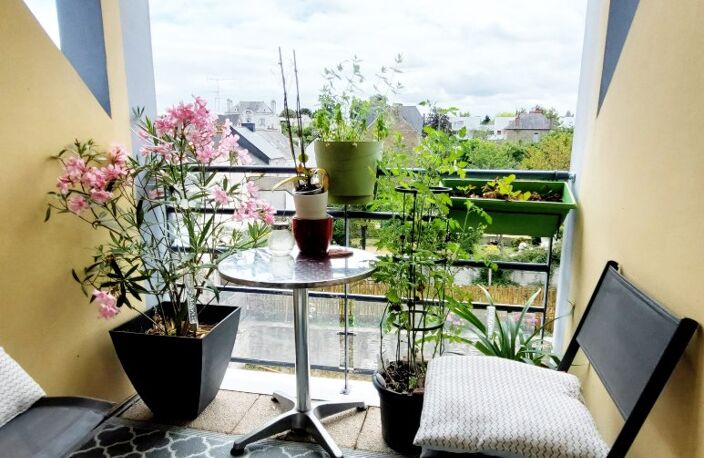 Appartement — photo 3