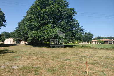 Terrain  55000 €