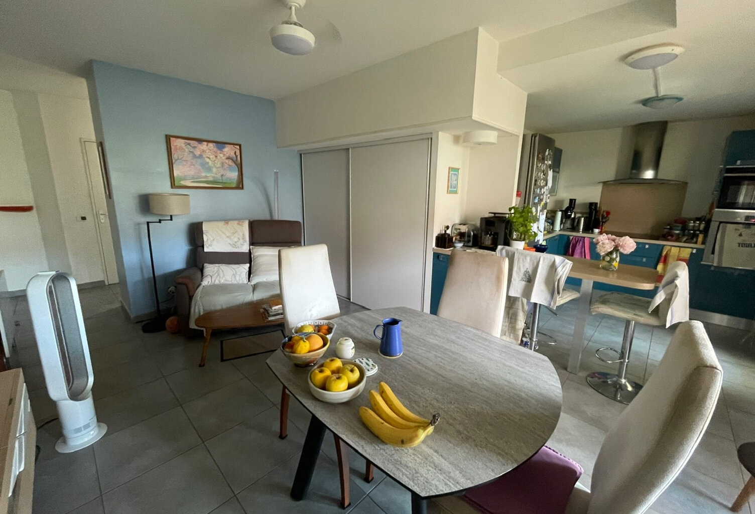 Appartement T4 VIAGER OCCUPE — photo 1