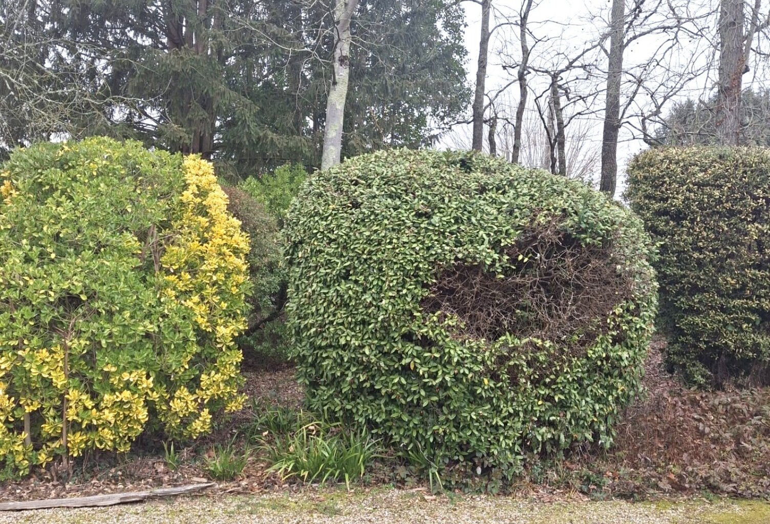 Vente Maison/villa 7 pièces — photo 1