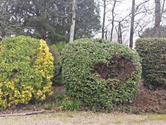 Vente Maison/villa 7 pièces — photo du bien