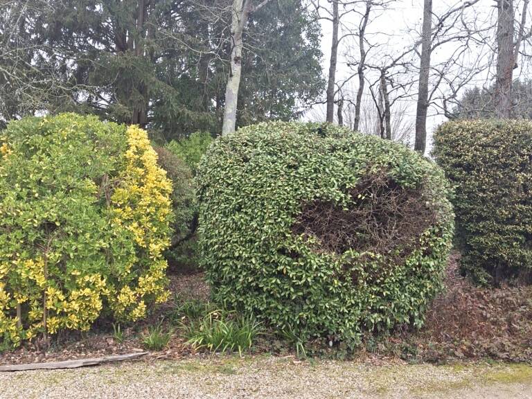 Vente Maison/villa 7 pièces — photo 1