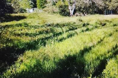 Terrain  88500 €