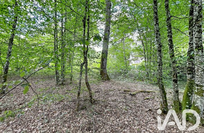 Vente Terrain 893 m&sup2; — photo 4