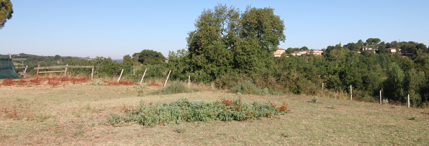 Photo N° 2