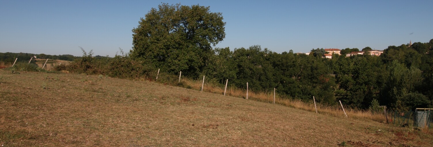 Terrain  1240 m² à vendre à Monclar-de-Quercy (82230)